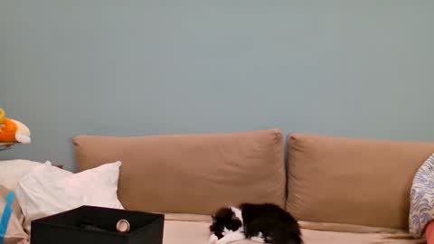 Lana online show from 24, 5, 2026