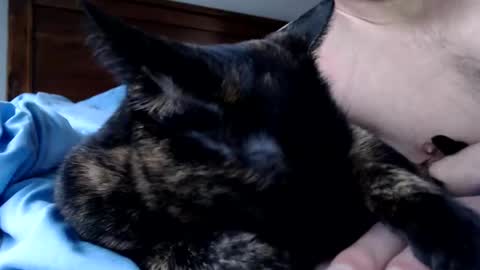 Lance online show from 16, 12, 2025