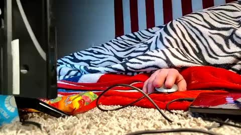 Snapshot of lawerenceingram46 chatting on 19, 9, 2025 lawerenceingram46 online show from 19, 9, 2025