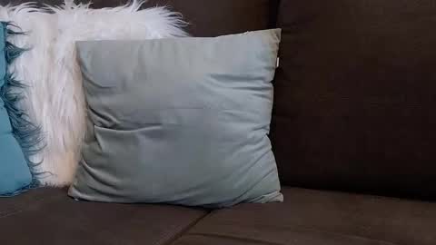 Snapshot of lazlow2000 chatting on 7, 1, 2026 lazlow2000 online show from 7, 1, 2026