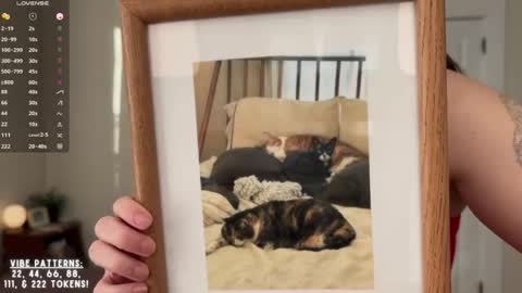 Cece  online show from 12, 2, 2026