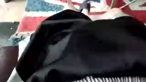 leatherpants68 online show from 18, 7, 2026