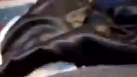 leatherpants68 online show from 19, 7, 2026