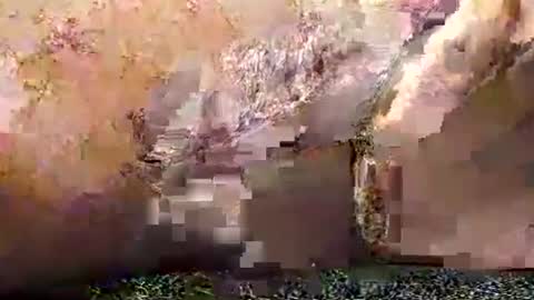 Snapshot of legofactory chatting on 27, 1, 2025 legofactory online show from 27, 1, 2025