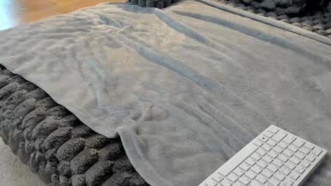 Elle  online show from 11, 3, 2026