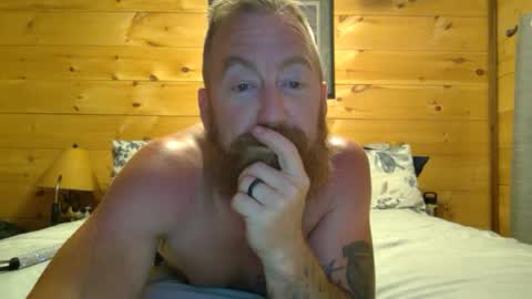 Snapshot of leia_jo chatting on 2, 8, 2026 Bear online show from 2, 8, 2026