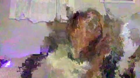 Snapshot of lemonkuilt chatting on 5, 1, 2025 Jennifer online show from 5, 1, 2025