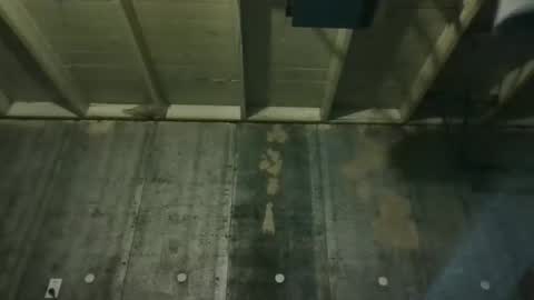 leo199984 online show from 25, 2, 2026