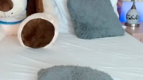 Snapshot of leonacutecam chatting on 24, 7, 2026 LUCY online show from 24, 7, 2026