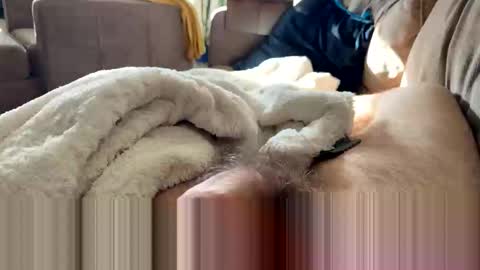 Snapshot of letgetnaughty12345 chatting on 19, 3, 2026 letgetnaughty12345 online show from 19, 3, 2026