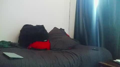 Torres online show from 27, 4, 2026