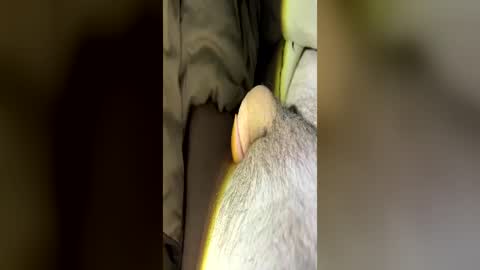 letsfucktn22 online show from 29, 6, 2026