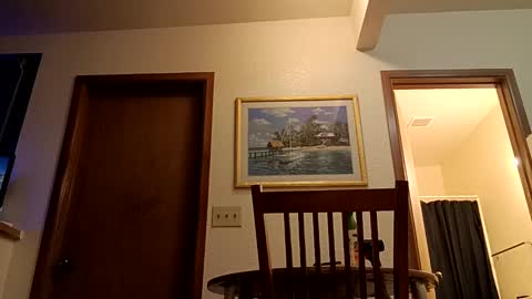 letsplay361 online show from 4, 3, 2025