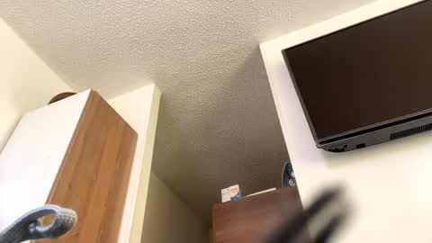 lety hot online show from 4, 12, 2024