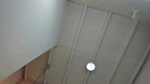 LevySteven online show from 24, 11, 2025