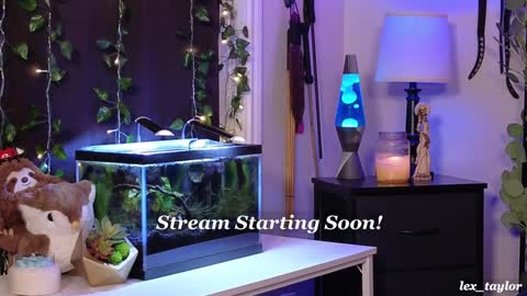 Snapshot of lex_taylor chatting on 19, 12, 2024 Lex online show from 19, 12, 2024