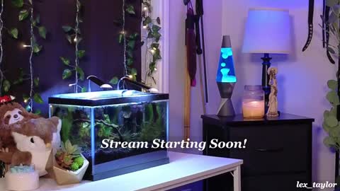 Snapshot of lex_taylor chatting on 7, 1, 2025 Lex online show from 7, 1, 2025