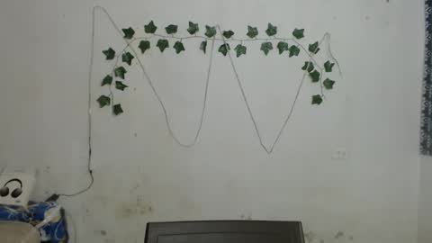 lolita online show from 4, 1, 2025