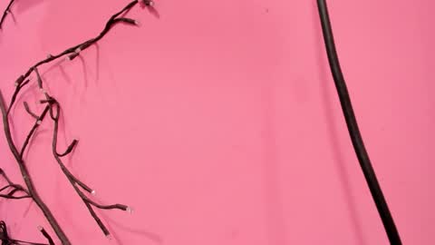 Liam online show from 18, 1, 2026