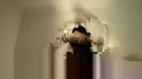 LPBT online show from 15, 9, 2025