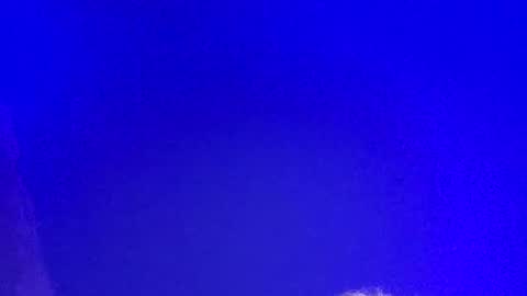 LickYourYoni online show from 3, 3, 2025