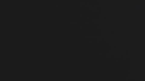 Daniel online show from 17, 11, 2025