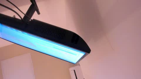 L I L A   online show from 30, 3, 2026