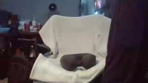 lildman420 online show from 24, 3, 2026