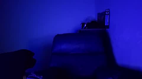 Fernando online show from 7, 11, 2025