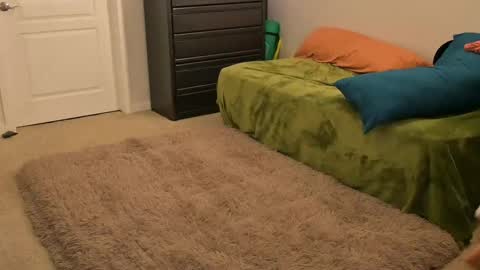 L online show from 14, 2, 2025