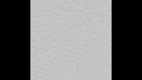 Lily online show from 19, 10, 2025