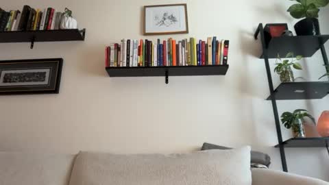 Jay  please help me reach 50 thumbs up online show from 13, 4, 2026