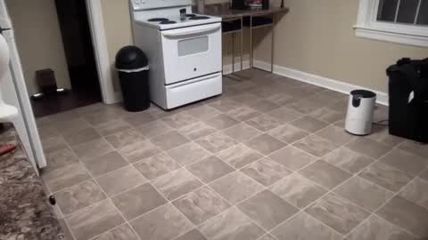 Snapshot of lilly_adams88 chatting on 21, 2, 2025 lilly_adams88 online show from 21, 2, 2025