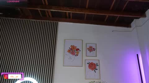 Sofia online show from 1, 3, 2026