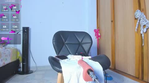   online show from 24, 2, 2026