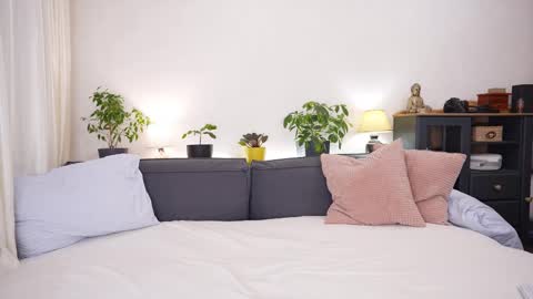 -- My Wishlist  online show from 15, 2, 2026