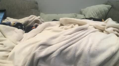 Snapshot of lingeriesissy12 chatting on 13, 2, 2025 lingeriesissy12 online show from 13, 2, 2025