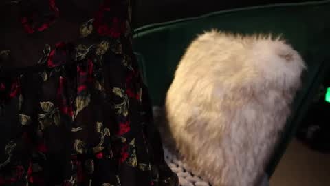 Snapshot of lireesa chatting on 20, 2, 2025 Lire online show from 20, 2, 2025