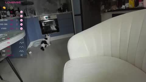 Lisa online show from 31, 3, 2026