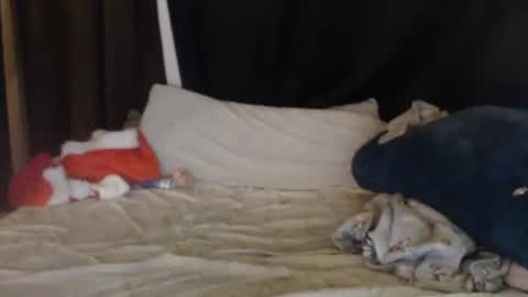 Lisa Tyler online show from 27, 12, 2024