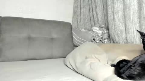 Snapshot of little_princess777 chatting on 21, 2, 2026 my Instagram online show from 21, 2, 2026