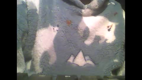 LittlePaul online show from 14, 2, 2025