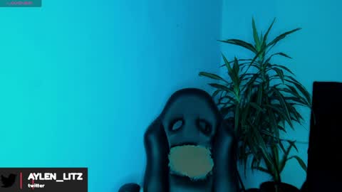 litz_81 online show from 6, 4, 2026