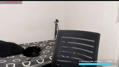 Liu help me to reach 100 thumps up daddy online show from 6, 4, 2026