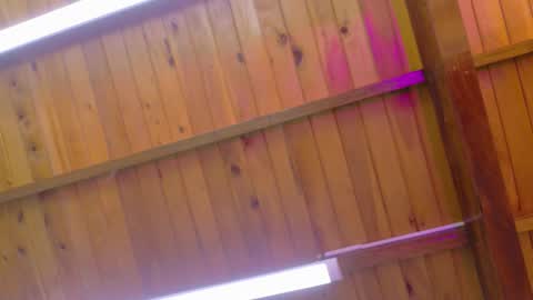  LIZBETH ROSS  online show from 9, 1, 2026