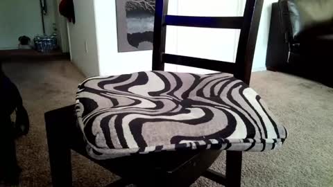 LL Cool Jake online show from 16, 3, 2026