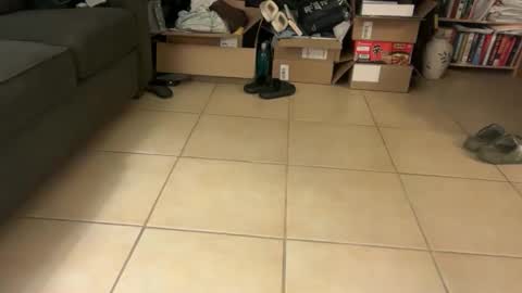 logical12345 online show from 19, 1, 2026