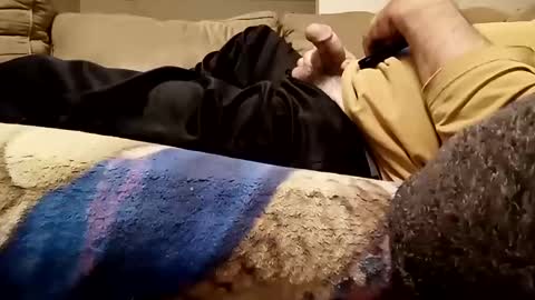 looking4bush online show from 12, 11, 2025