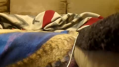 Snapshot of looking4bush chatting on 19, 1, 2026 looking4bush online show from 19, 1, 2026