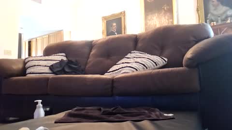 Pete online show from 26, 4, 2026